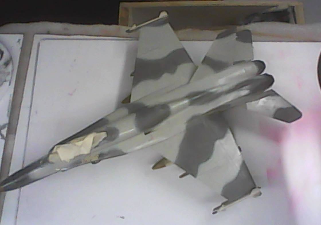  WIP at TeamCitadelHobbies
